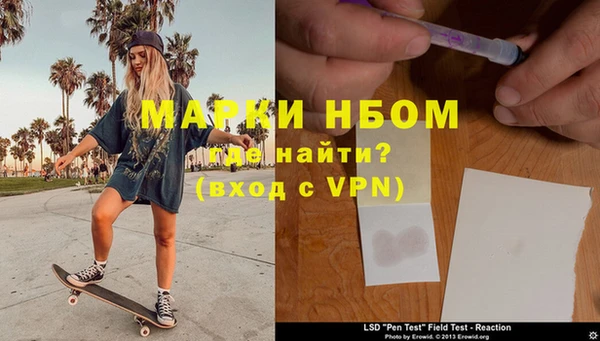 сатива Тайга