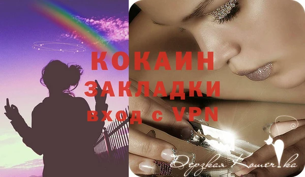 сатива Тайга